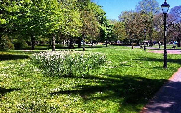 Photo of Watts park