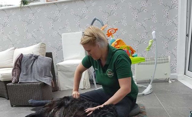 Photo of Hands On Heart Clinical Canine Massage Therapy