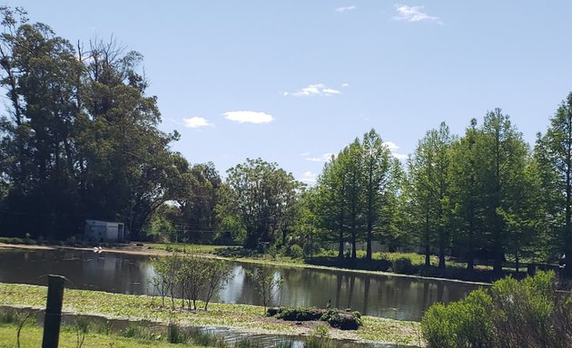 Foto de Vivero del Lago