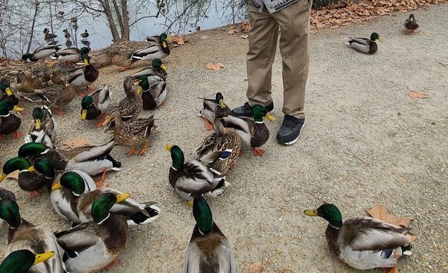 Photo of Redlich Pond Park