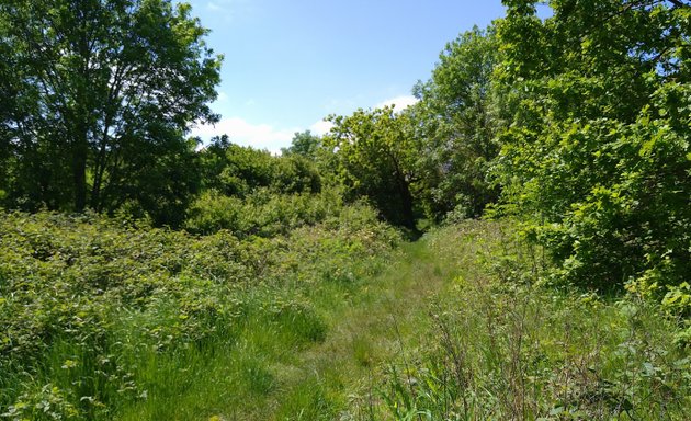 Photo of Whitehorse Meadow