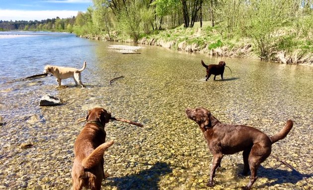 Foto von DOGizil Hundetagesbetreuung