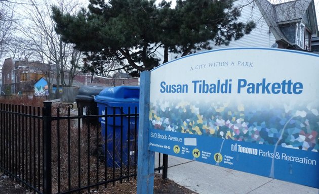 Photo of Susan Tibaldi Parkette