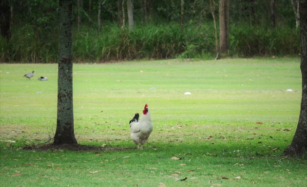 Photo of Oxley Golf Range