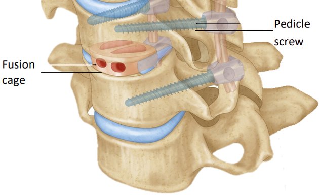 Photo of The Melbourne Swallow Analysis Centre