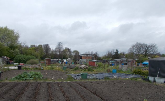 Photo of Old Lane Allotments