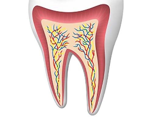 Photo of Smiles Dental Group - South Edmonton Dentist & Emergency Clinic