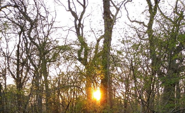 Photo of Hagbourne Copse Nature Reserve