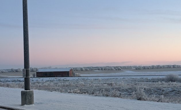 Photo of The Meadows