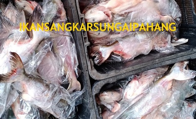 Photo of Teratak Ikan Patin Sungai Pahang Tun Ali