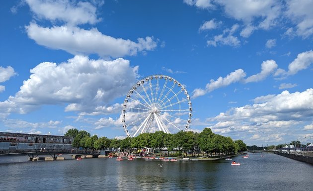 Photo of Écorécréo - Old Port of Montreal