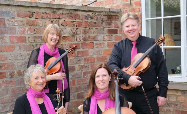 Photo of York String Quartet