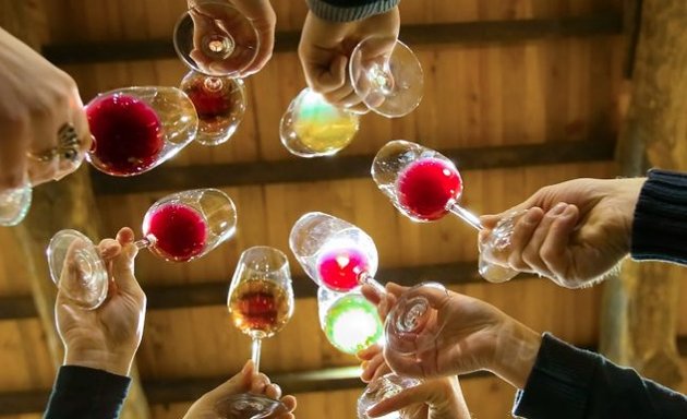 Photo de Dégustation de vins à domicile - Les Vinologues