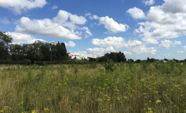 Photo of Mill Pond Meadow