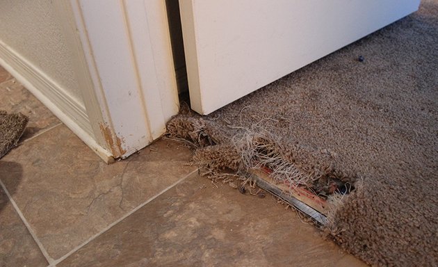 Photo of San Diego Carpet Repair & Cleaning