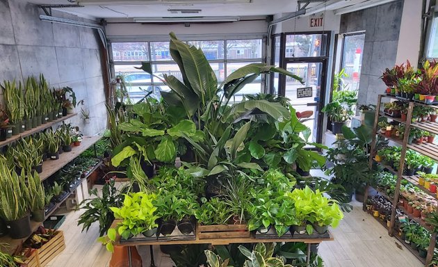 Photo of Plant Collective