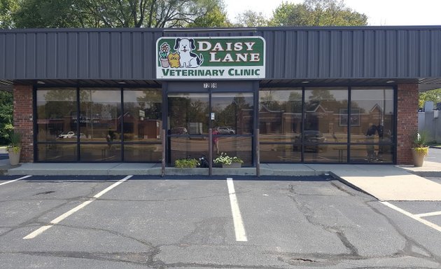 Photo of Daisy Lane Veterinary Clinic