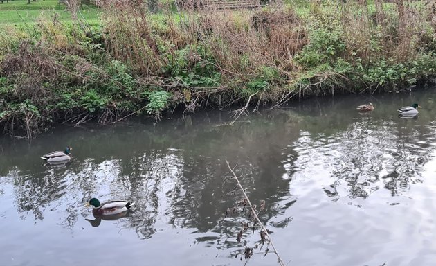 Photo of London Nature Trust