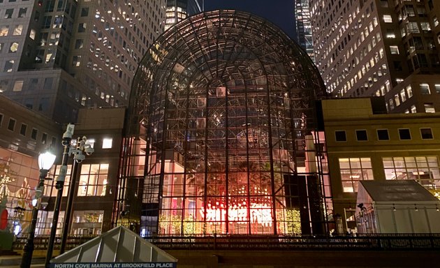 Photo of The Rink at Brookfield Place with Gregory & Petukhov