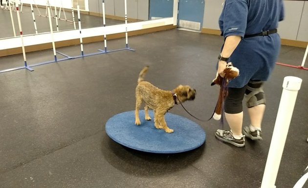 Photo of All Fours Dog Training - ChicagoAgility.com