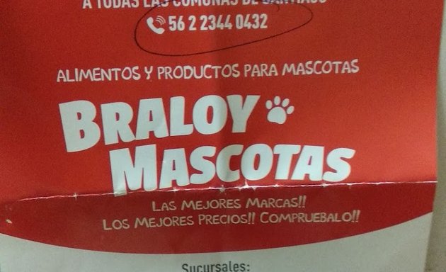 Foto de Braloy Mascotas