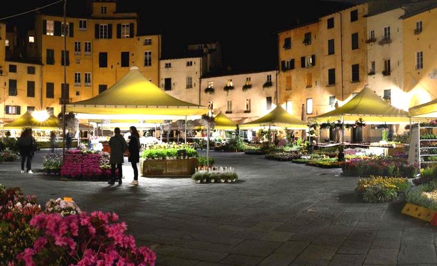 foto Insegna su Roma