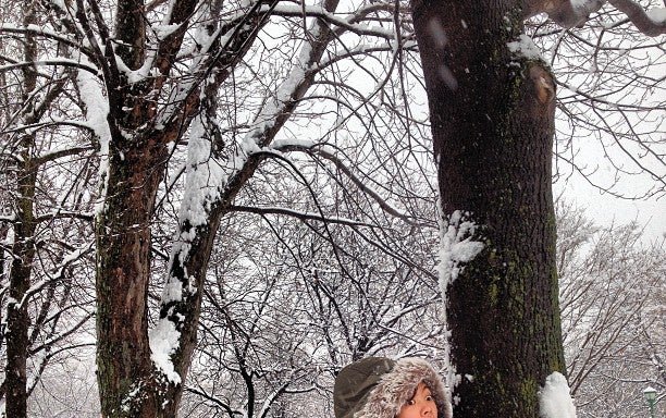 Photo of Parc Beaubien