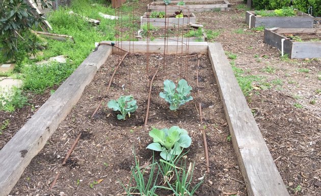 Photo of East Side Community Garden