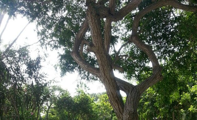 Foto de Parque Ramón Castilla