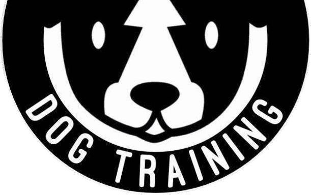 Photo of Rise Above Dog Training