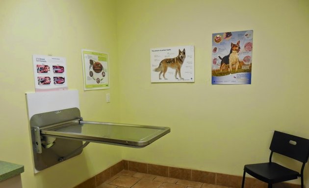 Photo of Dufferin Rutherford Veterinary Hospital