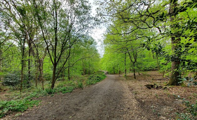 Photo of Pinner Hill Golf Club