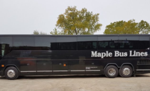 Photo of Maple Bus Lines