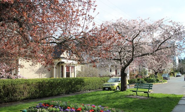 Photo of Marifield House