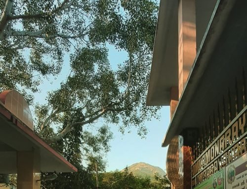 Photo of Sandeepa - Hinduism and Spirituality & Advaita Library and Counselling Centre