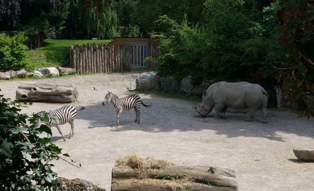 Photo de Zoo de Lille