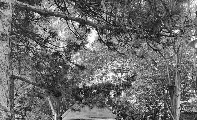 Photo of Albert Crosland Park Wading Pool