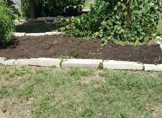 Photo of Jefferson Community Garden