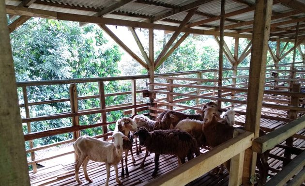 Photo of Ladang Kambing, Tetris Agro Farm