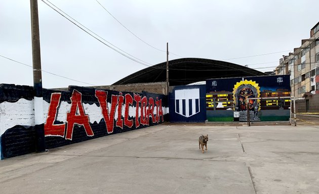 Foto de Complejo Deportivo IPD Piscina Matute