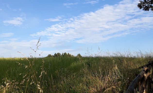 foto Azienda agricola bio "Colline di Veio" "