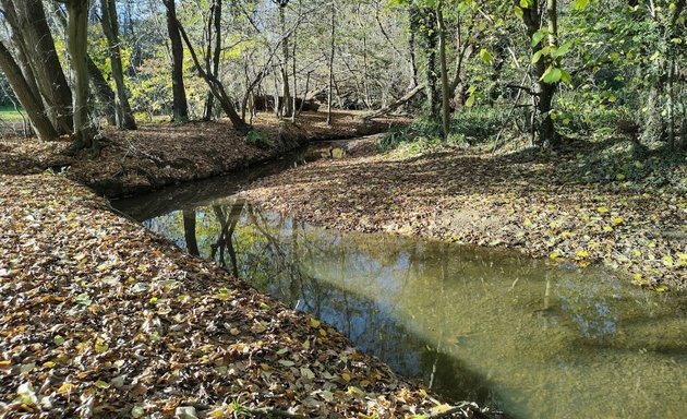 Photo of Hilly Fields Park