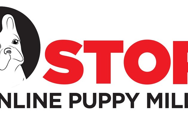 Photo of Stop Online Puppy Mills