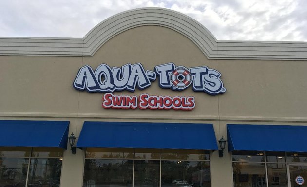 Photo of Aqua-Tots Swim Schools North Indianapolis