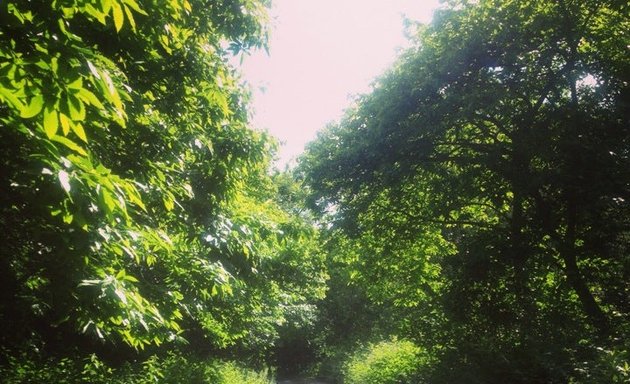 Photo of Scadbury Park Nature Reserve