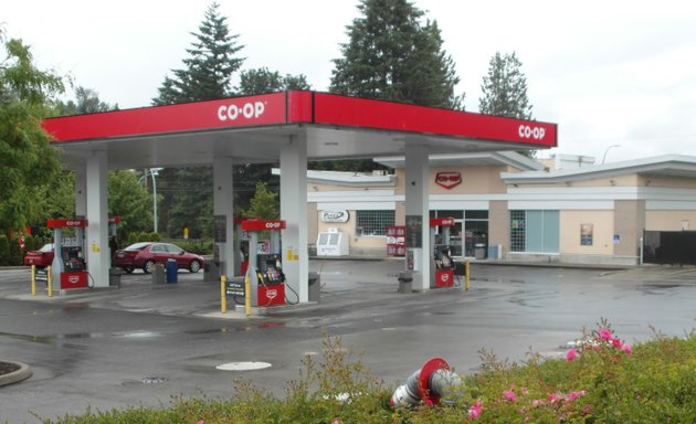 Photo of Otter Co-Op