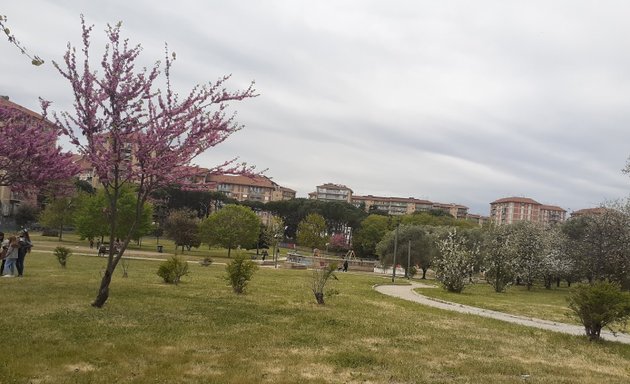 foto Parco dei Romanisti