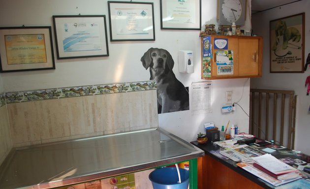 Foto de CENTRO VETERINARIO FATIMA - Consultas - Cirugías Veterinarias - Accesorios para su Mascota