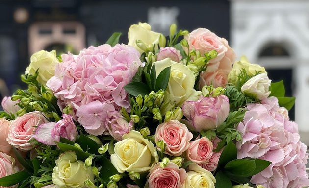 Photo of Blooms at London (Bluebird Chelsea)