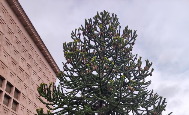 Photo de Jardin Dominique Alexandre Godron